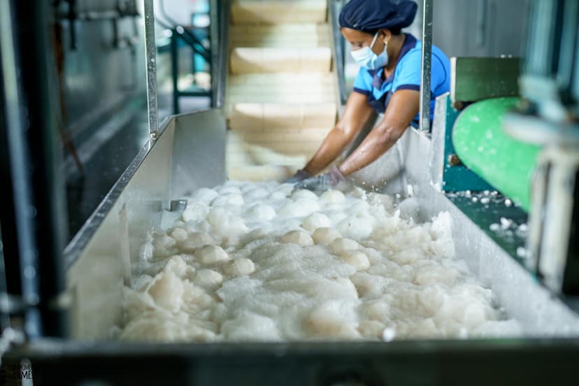 Desiccated Coconut Drying