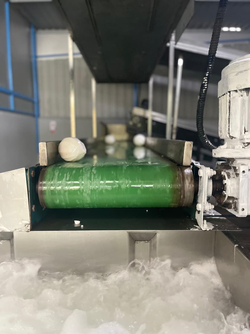 Hygienic De-shelling