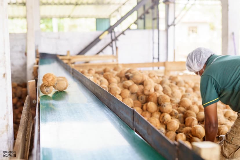 Raw Material Sorting