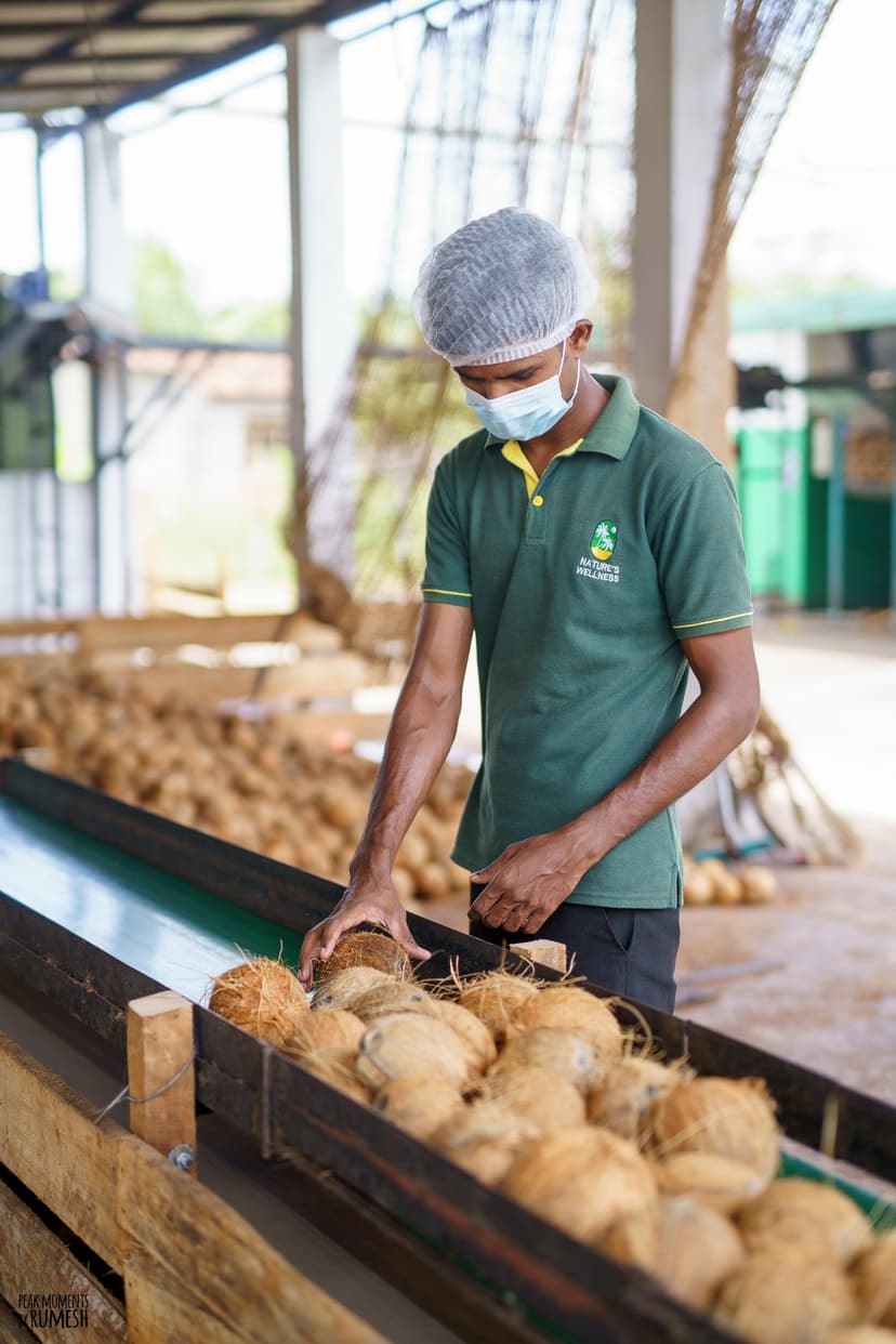 Coconut Pith De-husking